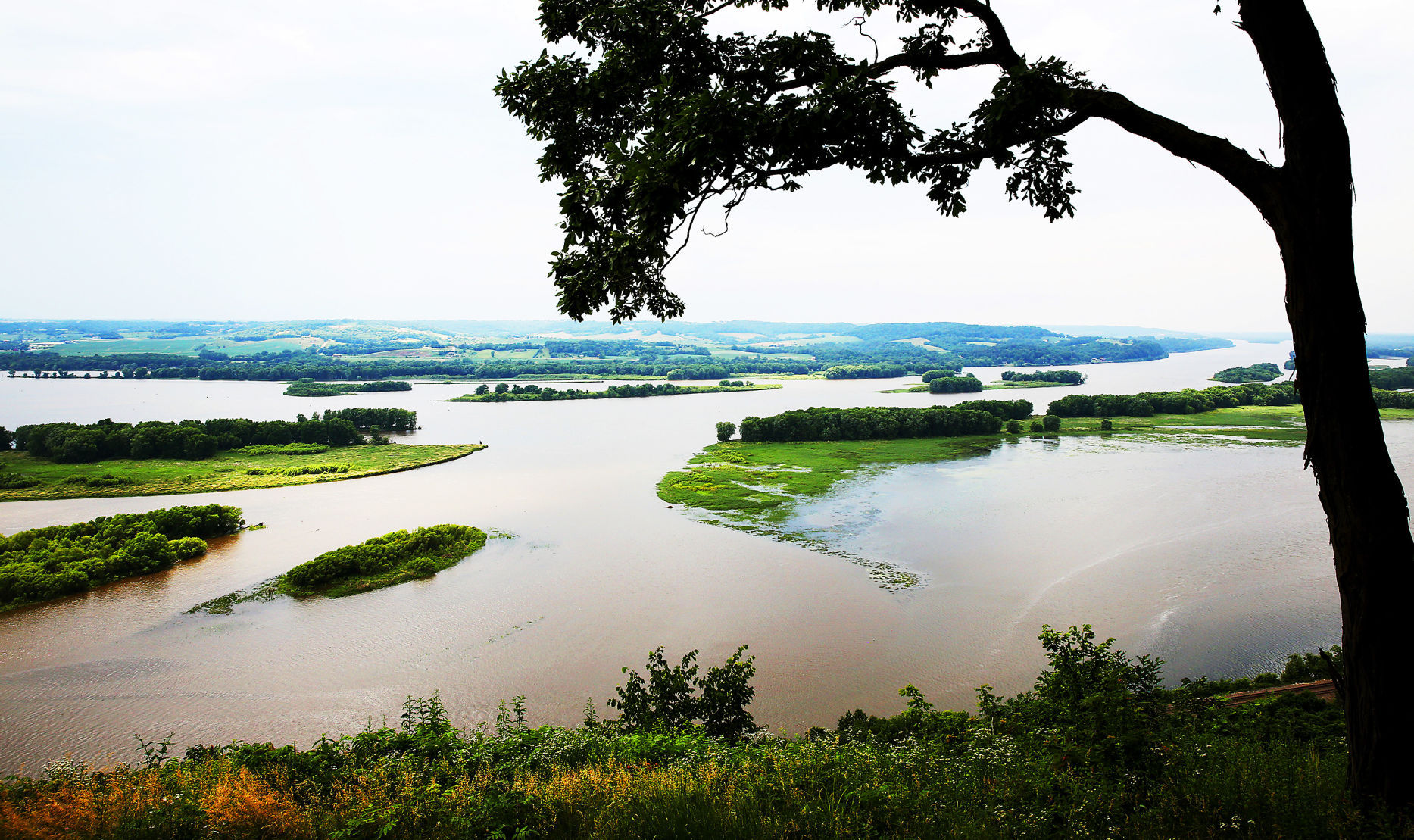 THE GREAT RIVER-0518